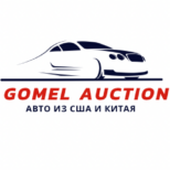 Gomel Auction | Авто из США, Китая, Кореи и Европы  в Гомеле